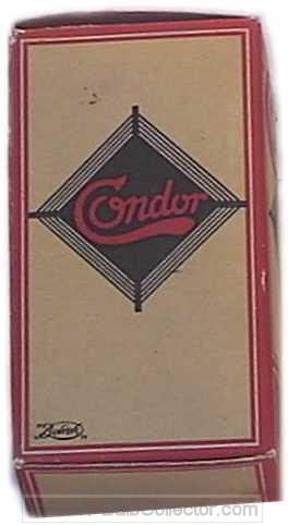 condor2.jpg