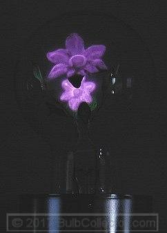 ar0007.jpg